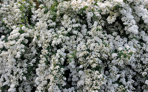 639658 (a): :2560x1600